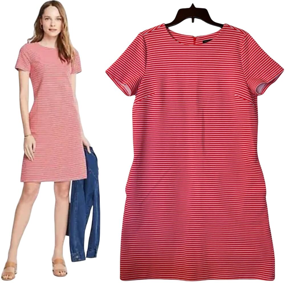 Ann Taylor Shift Dress Stretch Tall